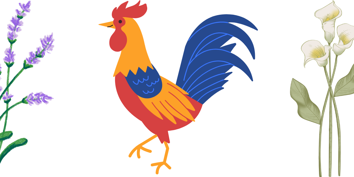 রুদ্র সানী