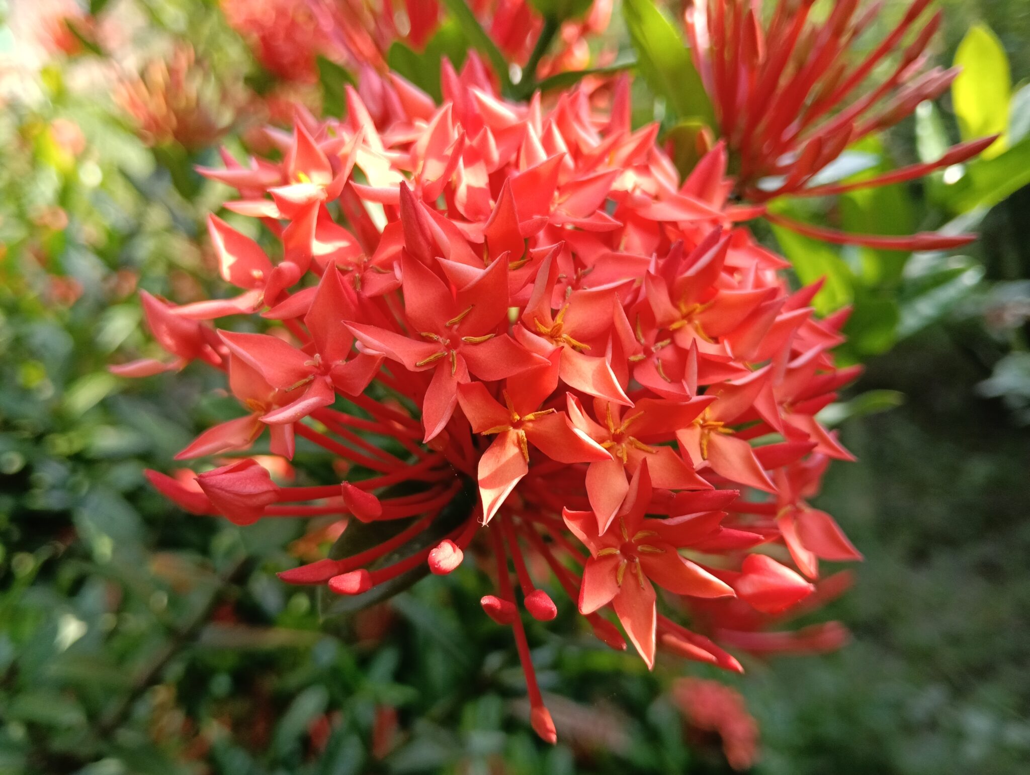 “মা” —উজ্জল সিংহ এ জগতে সবচেয়ে মধুর শব্দ…