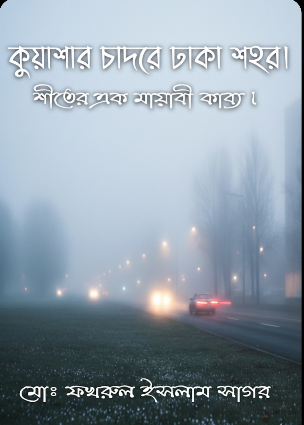 মেঃ ফখরুল ইসলাম সাগর।