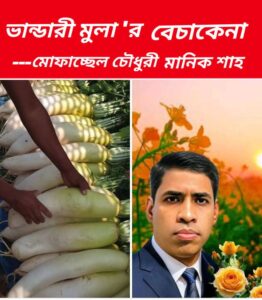 MUFASSEL CHOWDURY MANIK SHAH