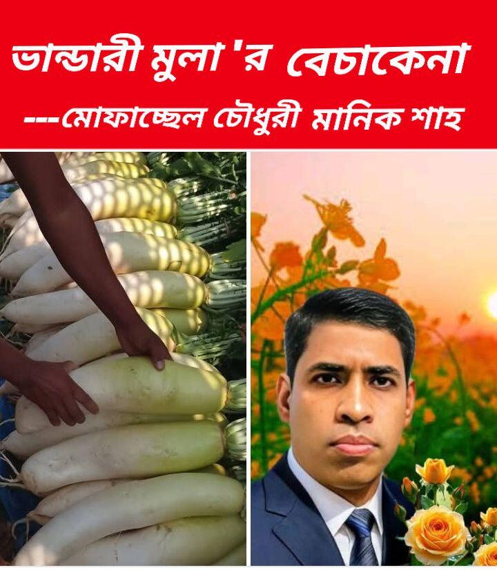 MUFASSEL CHOWDURY MANIK SHAH