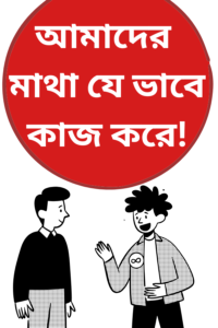 ভবিষ্যদ্বাণী করার যন্ত্র
