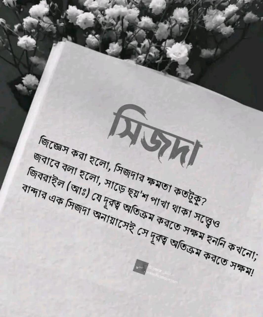 MD ARIFUL ISLAM