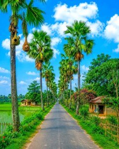 মায়ায় ভরা দেশ