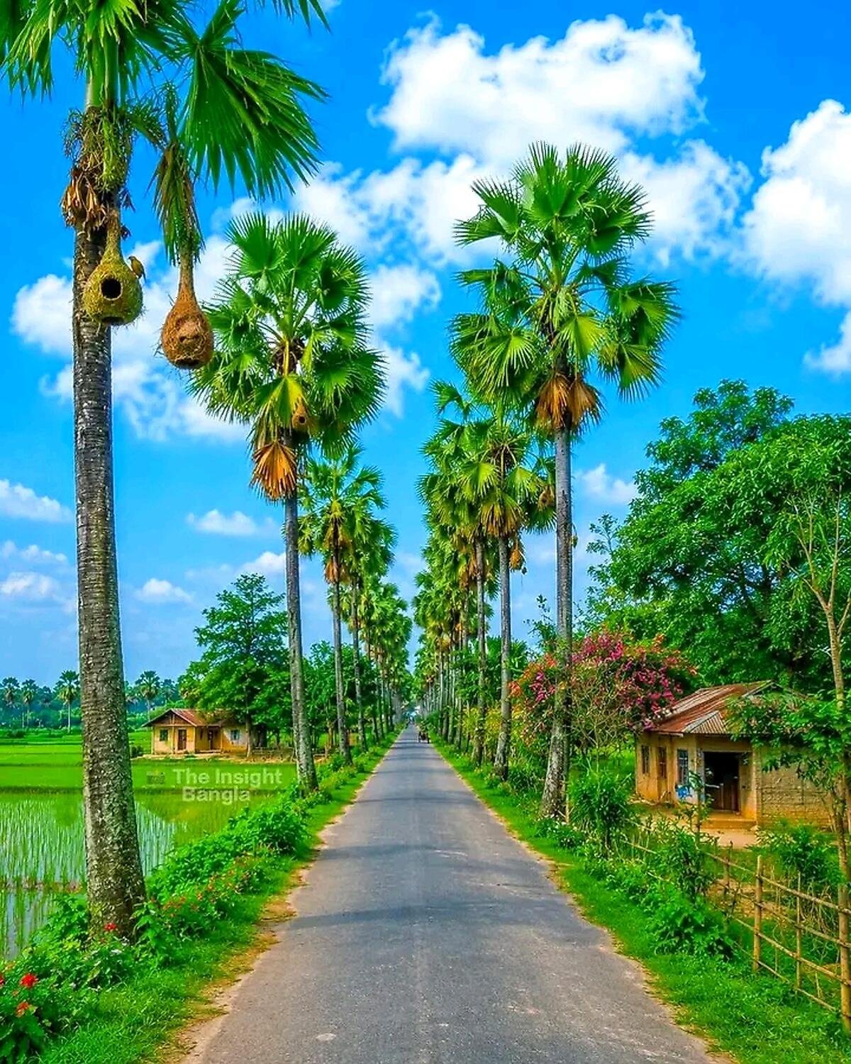 মায়ায় ভরা দেশ