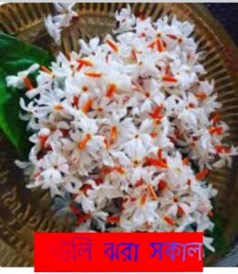 Uttam Kumar Ghosh