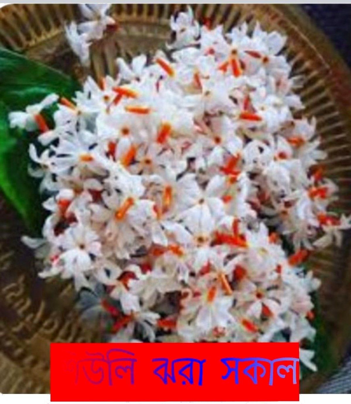 Uttam Kumar Ghosh